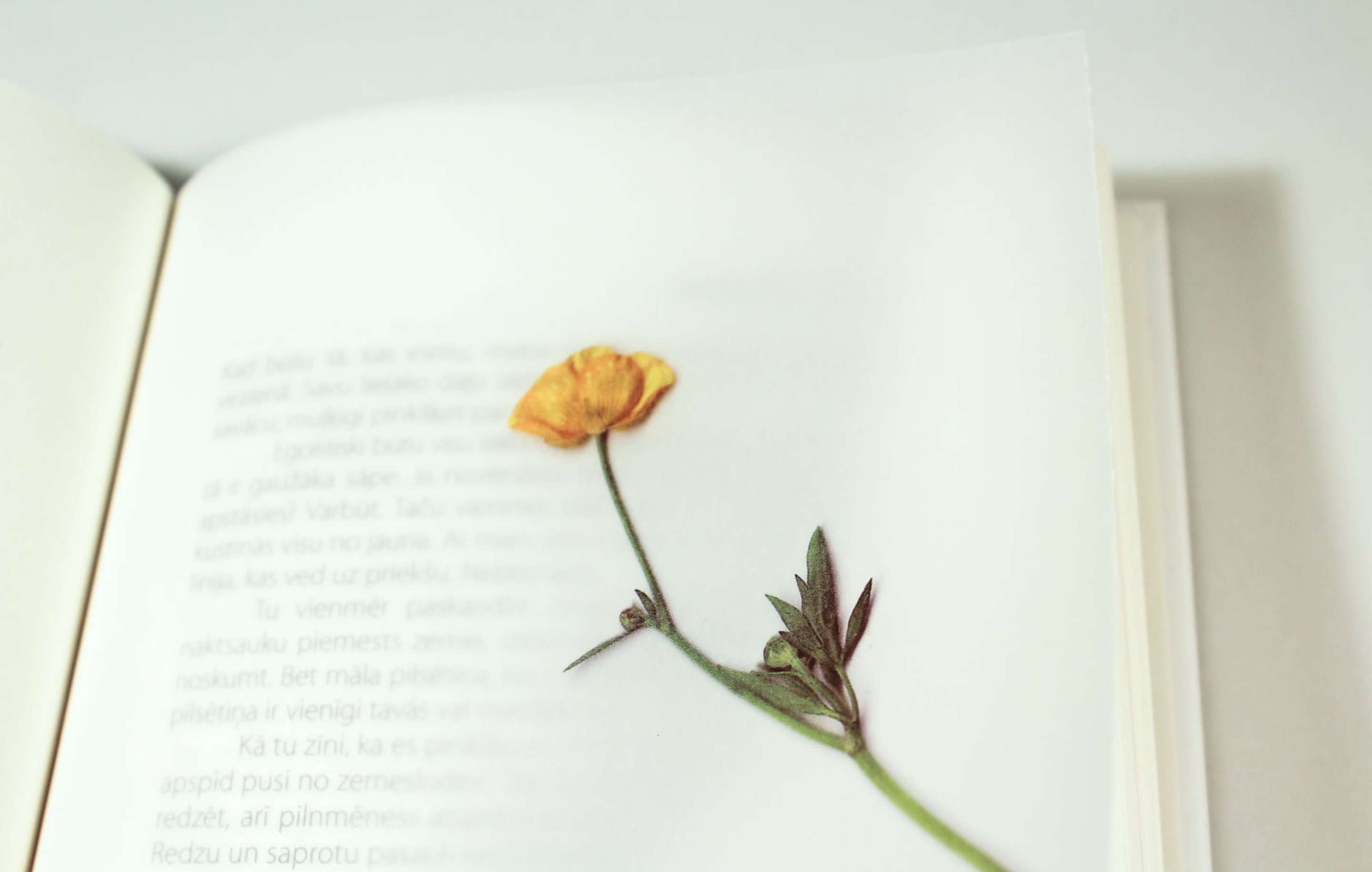 Learning Content List Page Banner Image